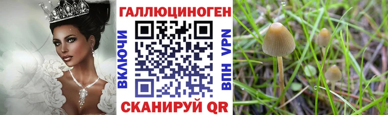 Псилоцибиновые грибы ЛСД Сельцо